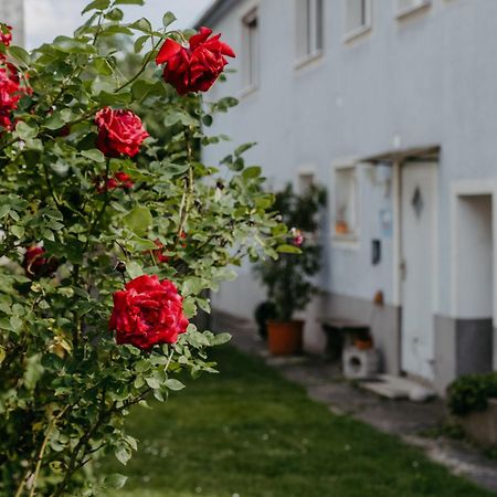 Ferienwohnung Morgensonne Schützen am Gebirge Exterior photo